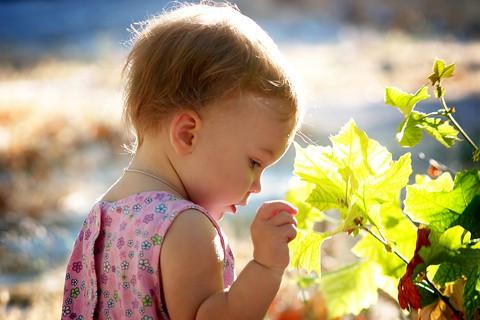 Leaves of Change, Family Travel Keepsakes From Nature